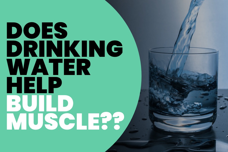 Does Drinking Water Help Build Muscle