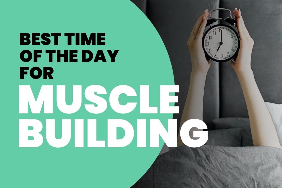 Best Time of the Day for Muscle Building