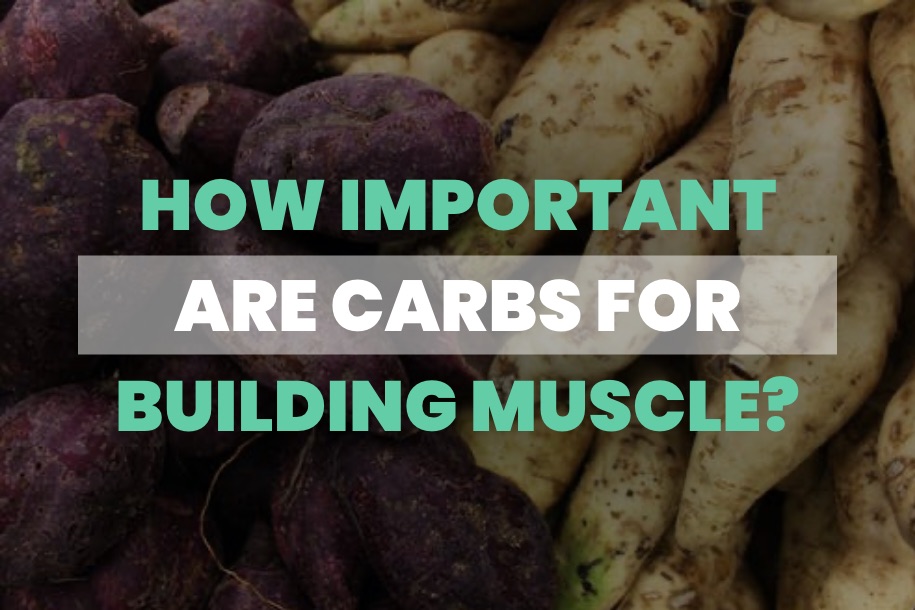 How Important are Carbs for Building Muscle