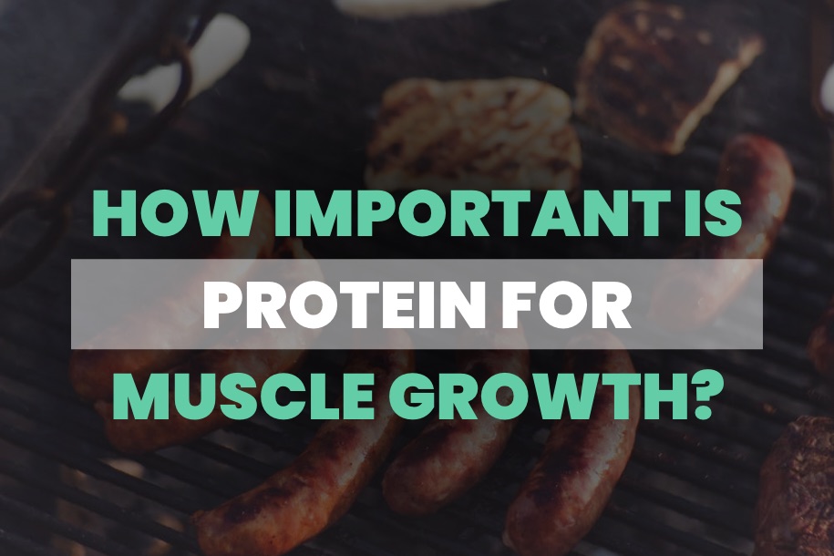 How Important is Protein for Muscle Growth