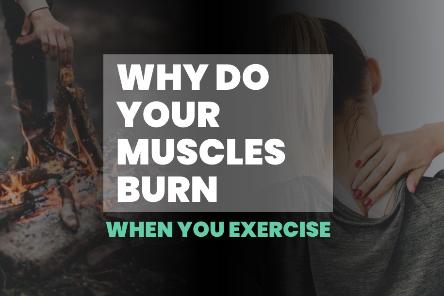 Why Do Your Muscles Burn When You Exercise