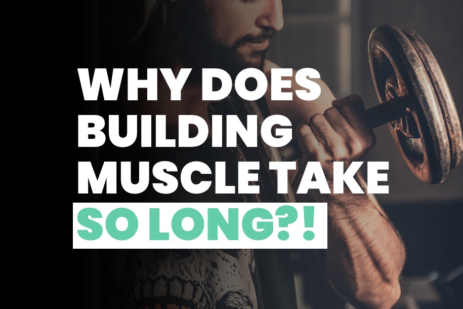 Why Does Muscle Building Take So Long