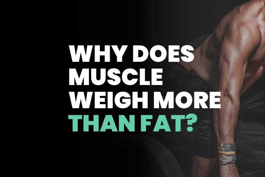 Why Does Muscle Weigh More Than Fat