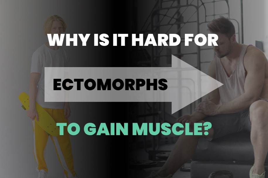 Why is it Hard for Ectomorphs to Gain Muscle