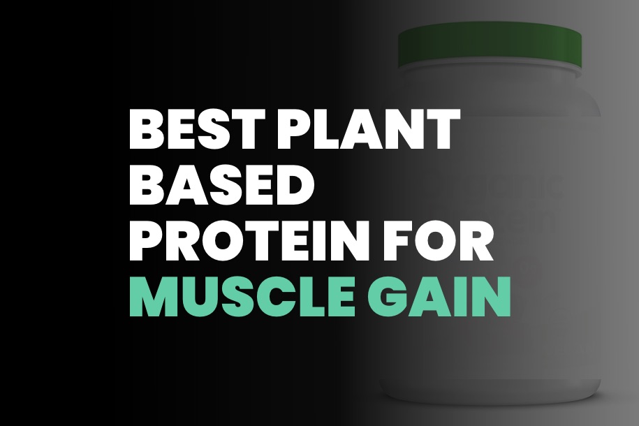 Best Plant Based Protein Powders for Muscle Gain